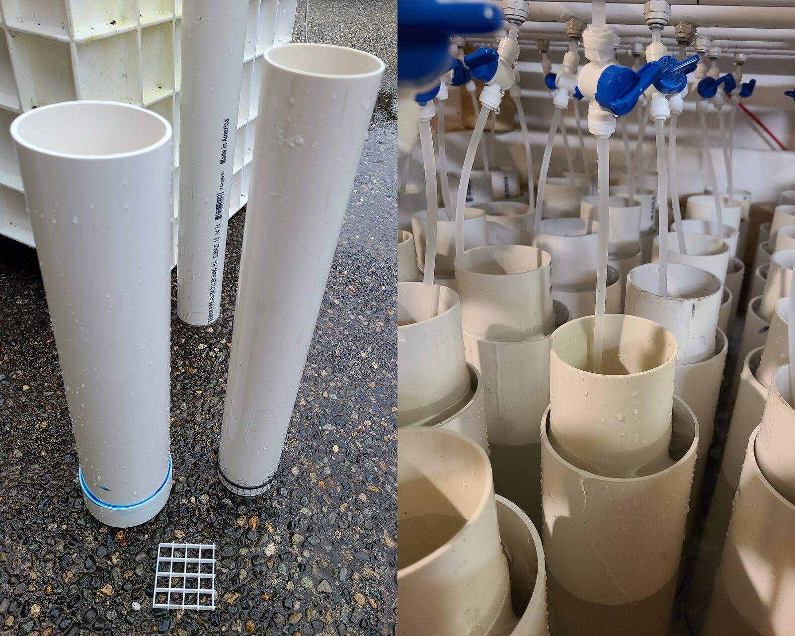View of the silos inside the prototype tank