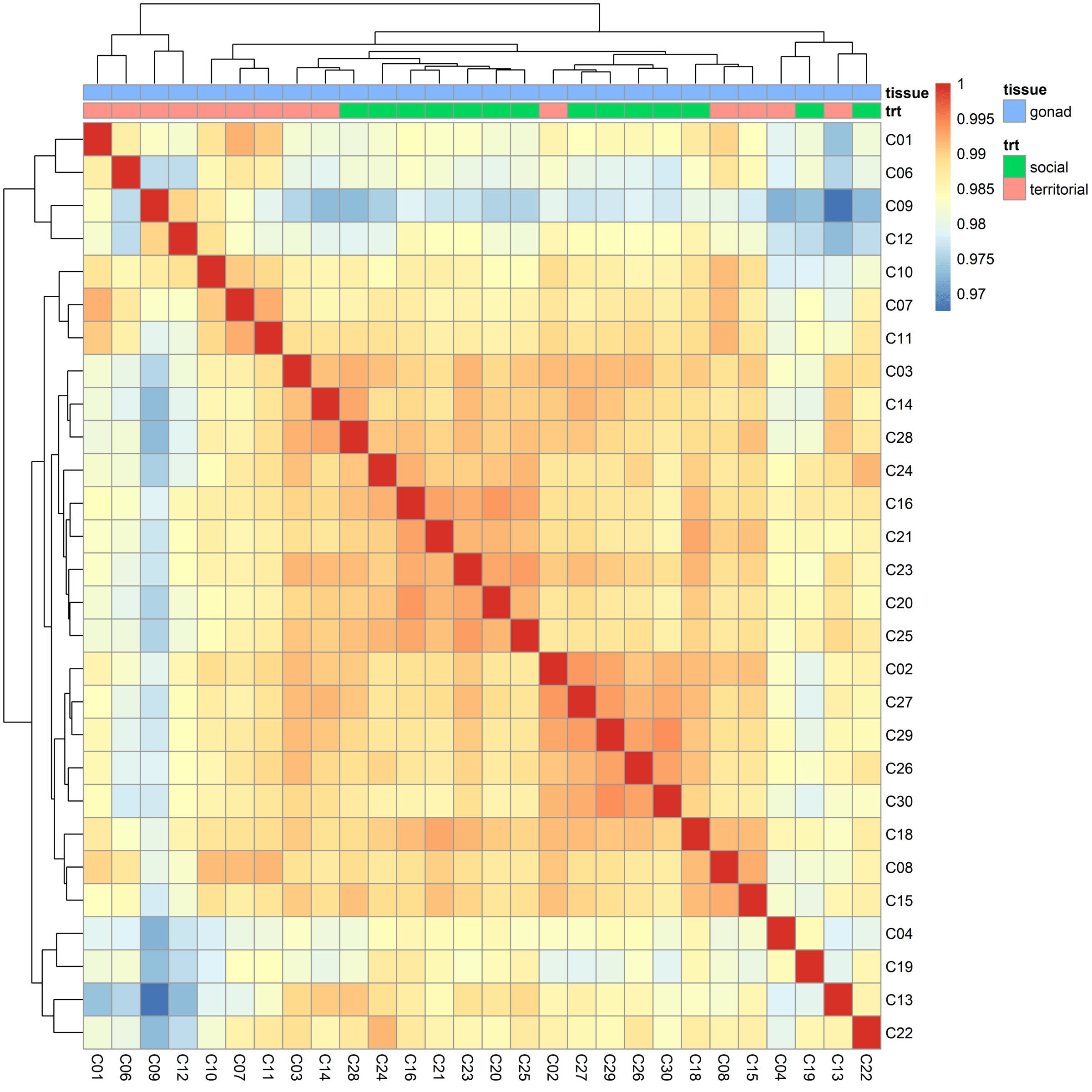 Sample-distance heatmap for gonad samples