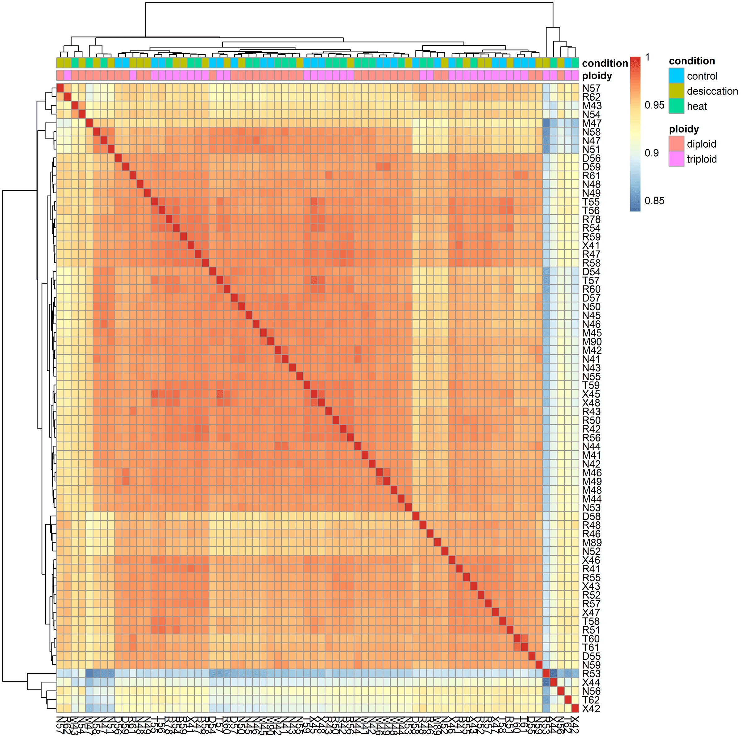 Sample-distance heatmap for all samples